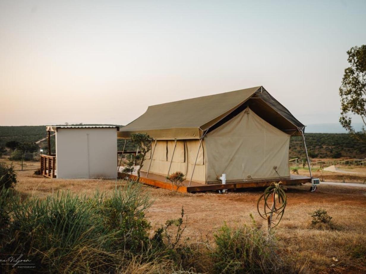 Longhill Reserve Addo Quarto foto