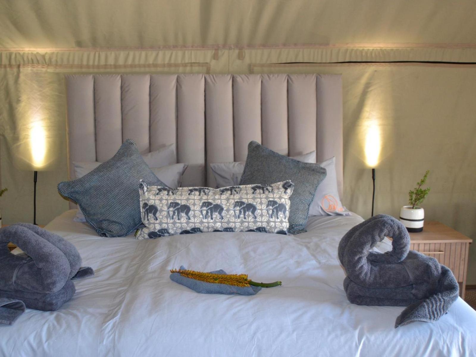 Longhill Reserve Addo Quarto foto